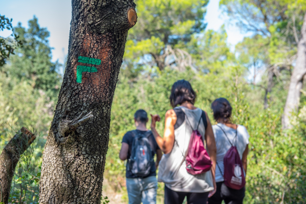 Sentier randonnée de Vachères